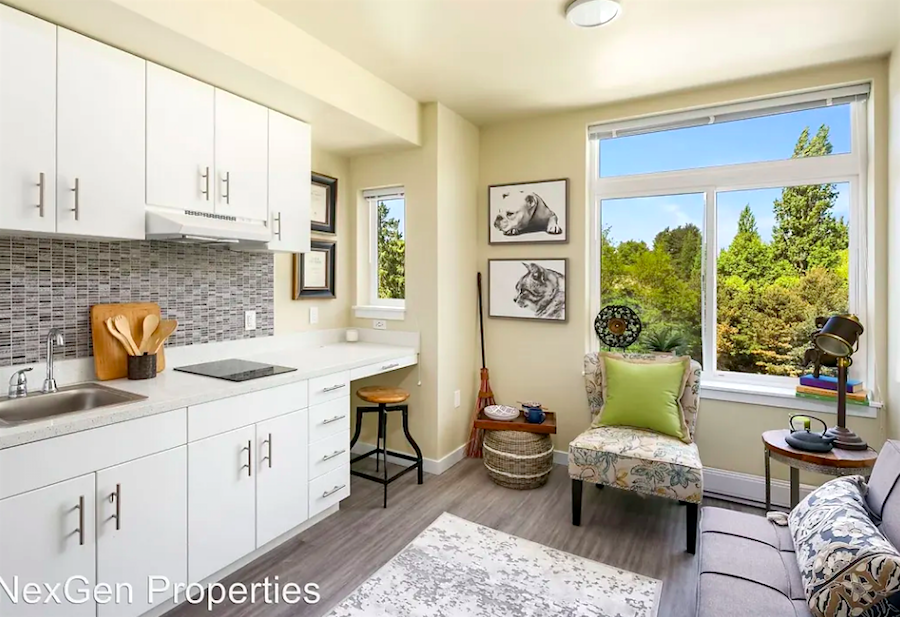 Apartments for rent in Seattle What will 1,100 get you?