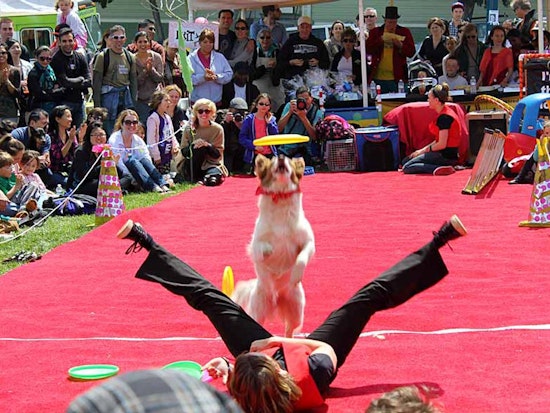 Dogfest Is Coming
