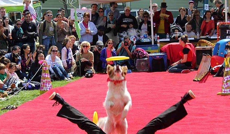 Dogfest Is Coming