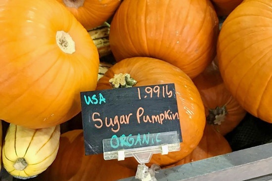 Feast your eyes on the best Jacksonville businesses to prep for your Thanksgiving