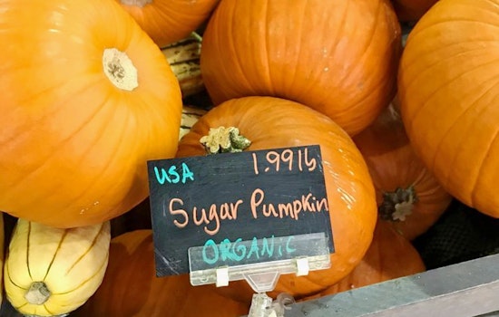 Feast your eyes on the best Jacksonville businesses to prep for your Thanksgiving