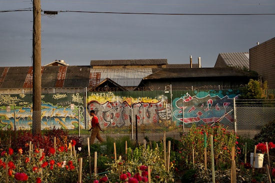SFO photo exhibit highlights West Oakland farms