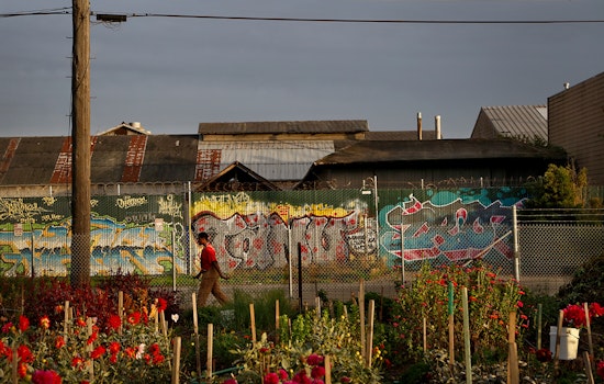 SFO photo exhibit highlights West Oakland farms