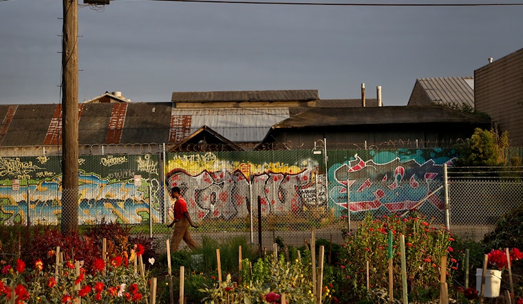 SFO photo exhibit highlights West Oakland farms