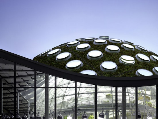 California Academy of Sciences hosting inclusive job fair