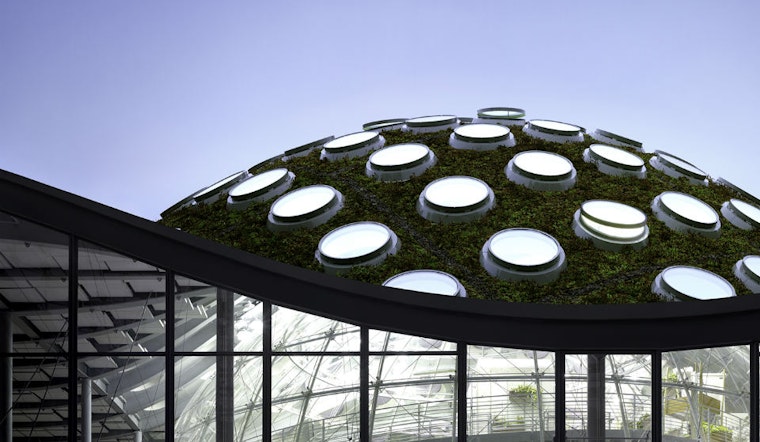 California Academy of Sciences hosting inclusive job fair