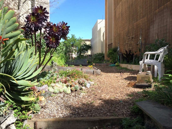 Volunteer At The Page Street Garden Today