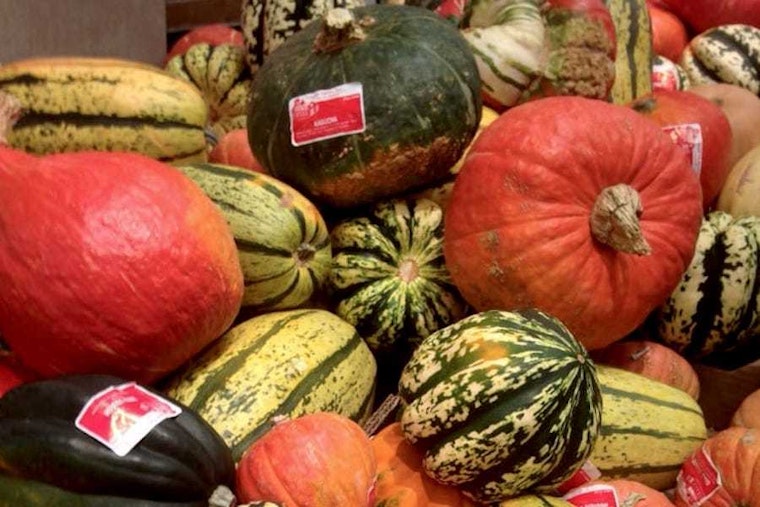 Feast your eyes on the best Seattle businesses to prep for your Thanksgiving