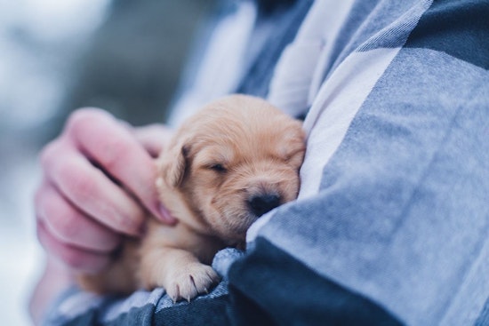 Family and learning is hot in San Antonio this week