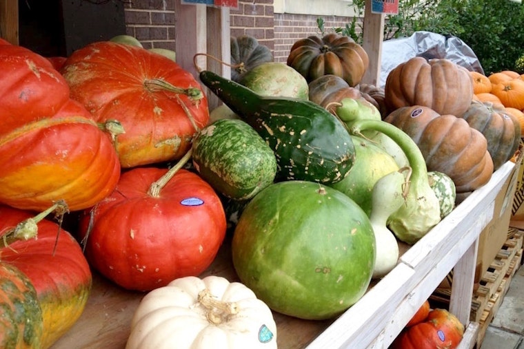 Feast your eyes on the best Fort Worth businesses to prep for your Thanksgiving
