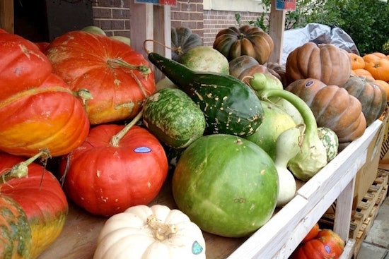 Feast your eyes on the best Fort Worth businesses to prep for your Thanksgiving