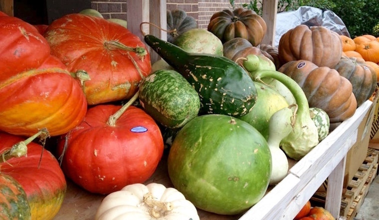 Feast your eyes on the best Fort Worth businesses to prep for your Thanksgiving