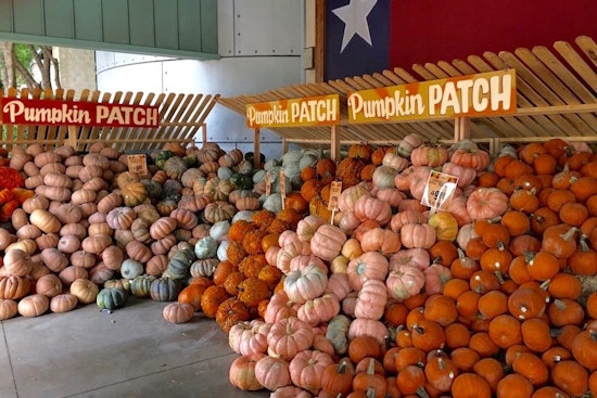 Feast your eyes on the best Plano businesses to prep for your Thanksgiving