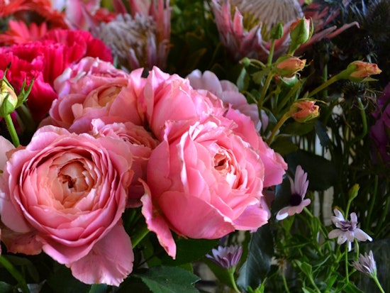 Inside Verde SF, Your Hidden Flower Shop