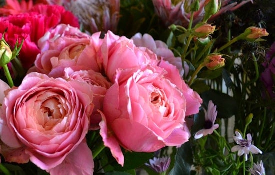 Inside Verde SF, Your Hidden Flower Shop