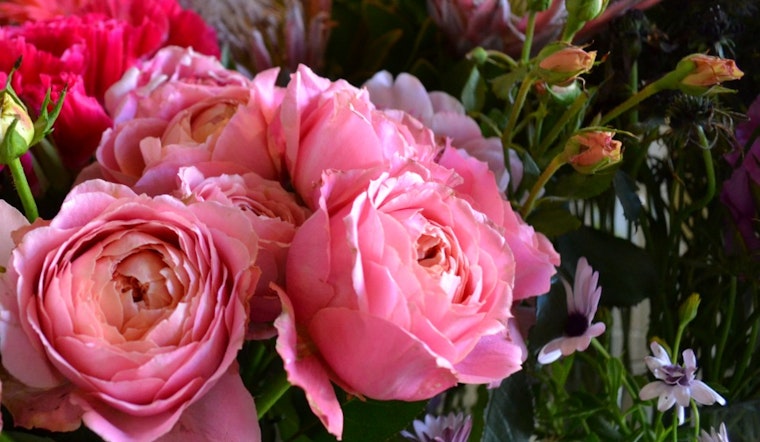 Inside Verde SF, Your Hidden Flower Shop
