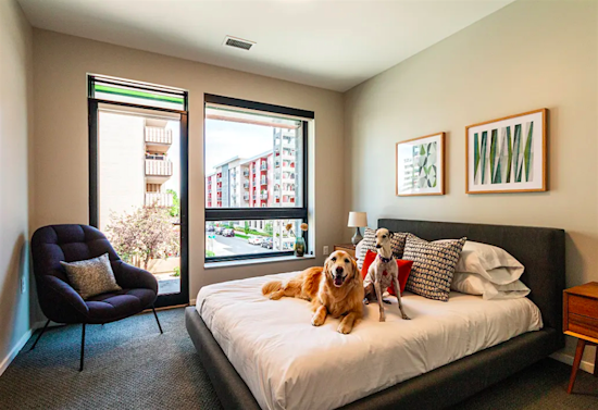 The cheapest apartments for rent in Hale, Denver