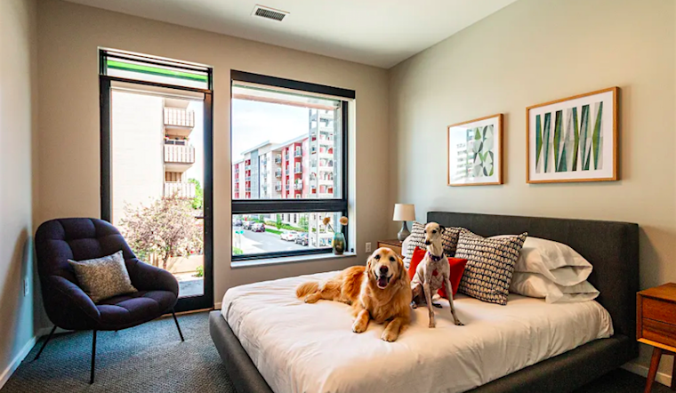The cheapest apartments for rent in Hale, Denver