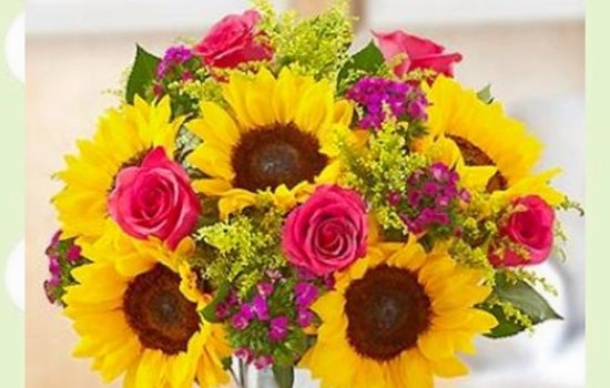 Colorado Springs' top 5 florists, ranked