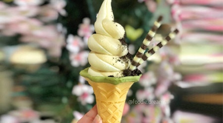 Serving me softly: Aube Creamery opens in Japantown