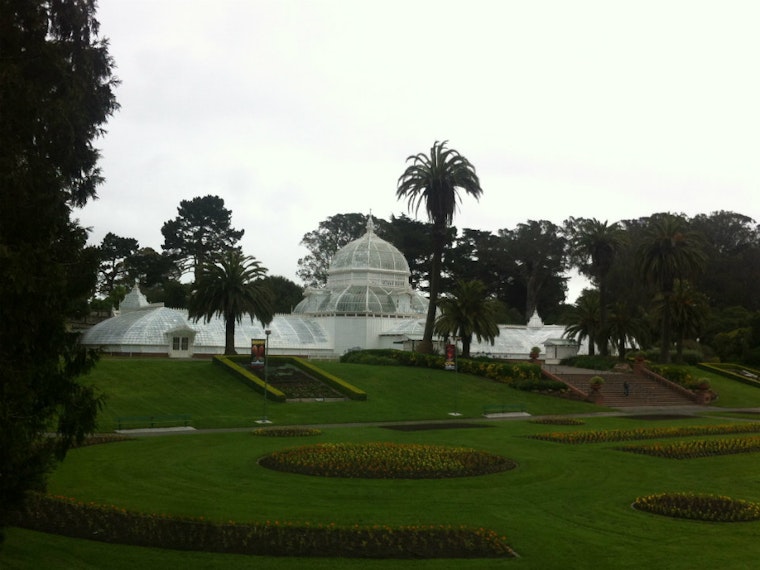 This Weekend In Golden Gate Park: A Primer