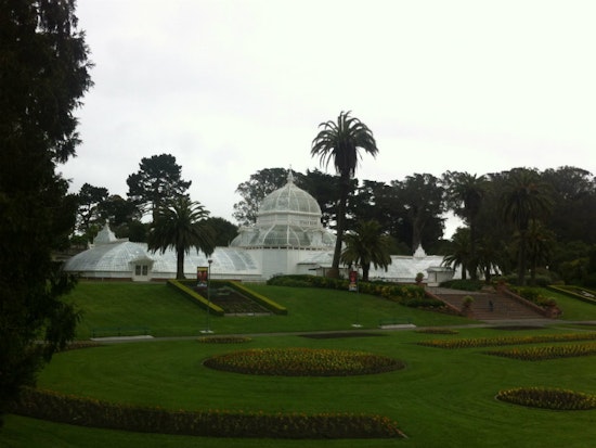 This Weekend In Golden Gate Park: A Primer