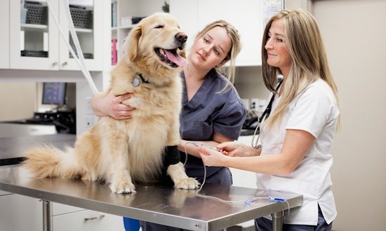The best pets deals in San Jose today