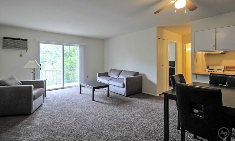 What apartments will $800 rent you in CUF, today?