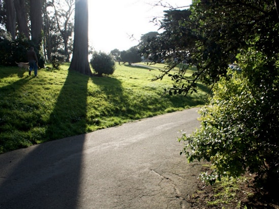 Major Alamo Square Renovation On The Way