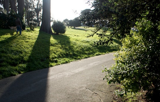 Major Alamo Square Renovation On The Way