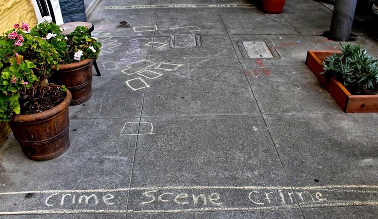 Duboce Triangle's Little Free Library Stolen