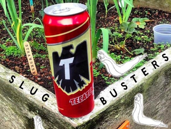 Slugs And Beer Tonight At The Page
