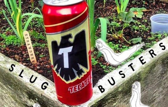 Slugs And Beer Tonight At The Page