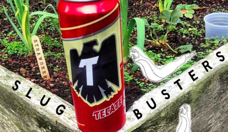 Slugs And Beer Tonight At The Page