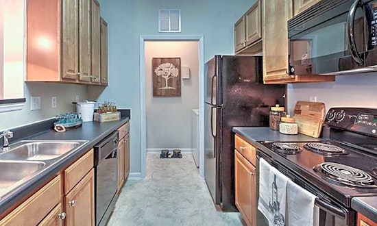 Budget apartments for rent in North Lake, Charlotte