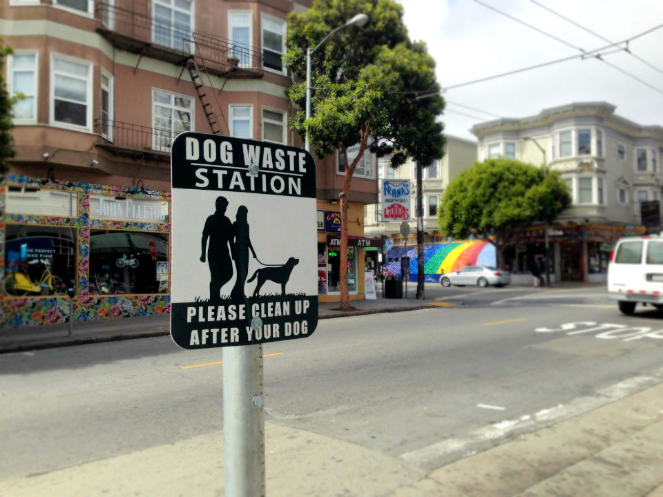 Checking In On The Haight's New Dog Waste Stations