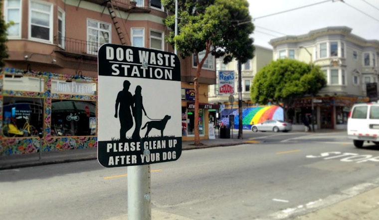 Checking In On The Haight's New Dog Waste Stations