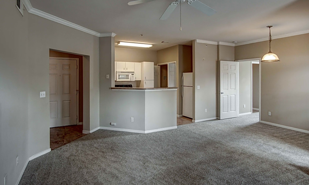 The cheapest apartments for rent in Briargate, Colorado Springs