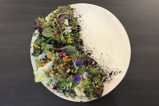 New American eatery The Bear & Monarch debuts in FiDi hotel
