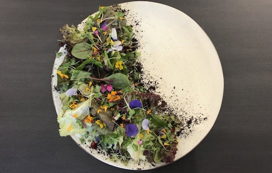 New American eatery The Bear & Monarch debuts in FiDi hotel