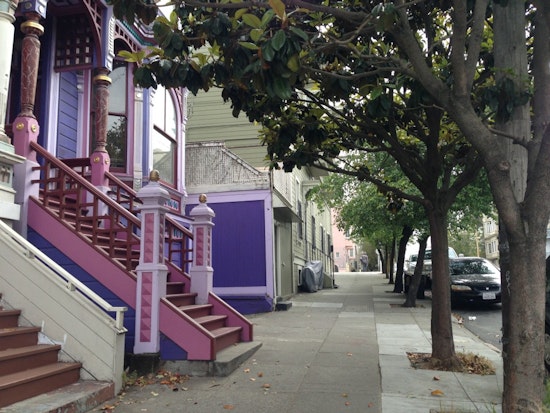 More Trees Coming To NoPa This Summer