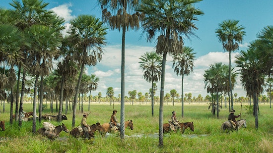 The 5 best films screening in Santa Monica this week
