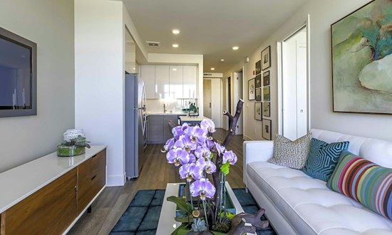 Apartments for rent in Berkeley: What will $3,200 get you?