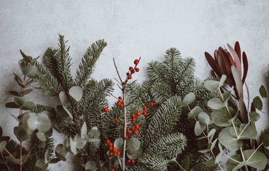 Baltimore boasts a hot lineup of seasonal and holiday events this week