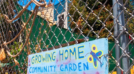 Eviction Notice Served For Hayes Valley Community Garden