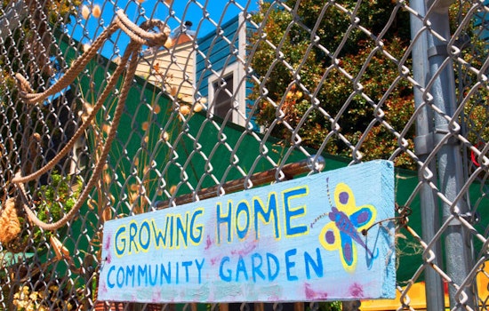 Eviction Notice Served For Hayes Valley Community Garden