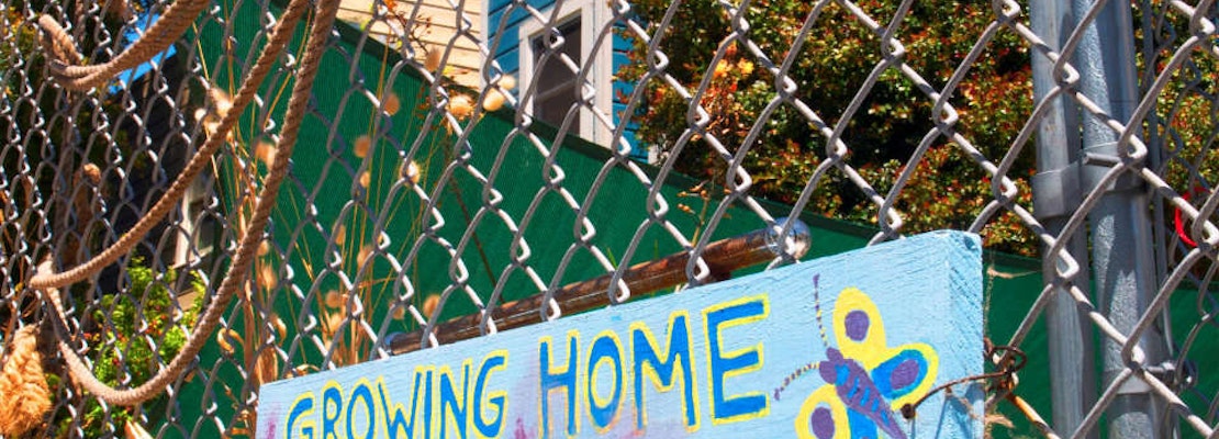 Eviction Notice Served For Hayes Valley Community Garden