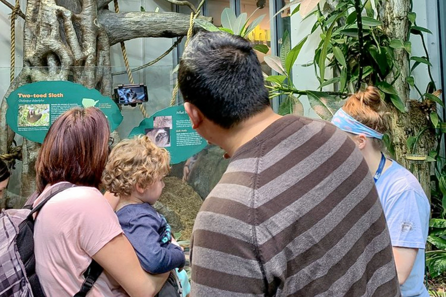 Raleigh's 3 top art galleries (that won't break the bank)