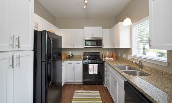 Budget apartments for rent in Ballantyne East, Charlotte