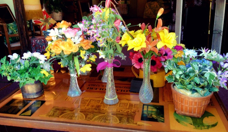 Odds And Ends: Pride Weekend In The Haight, Lost Dog, And More